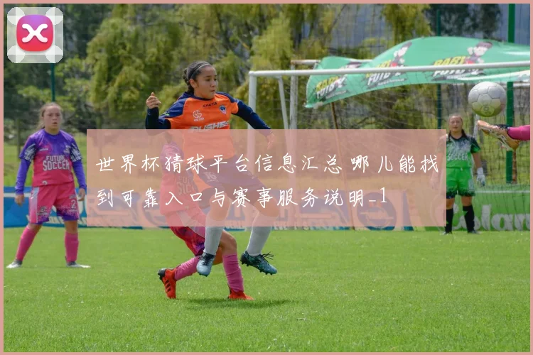 世界杯猜球平台信息汇总 哪儿能找到可靠入口与赛事服务说明_1