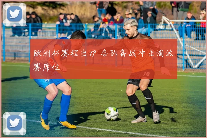 欧洲杯赛程出炉 各队备战冲击淘汰赛席位