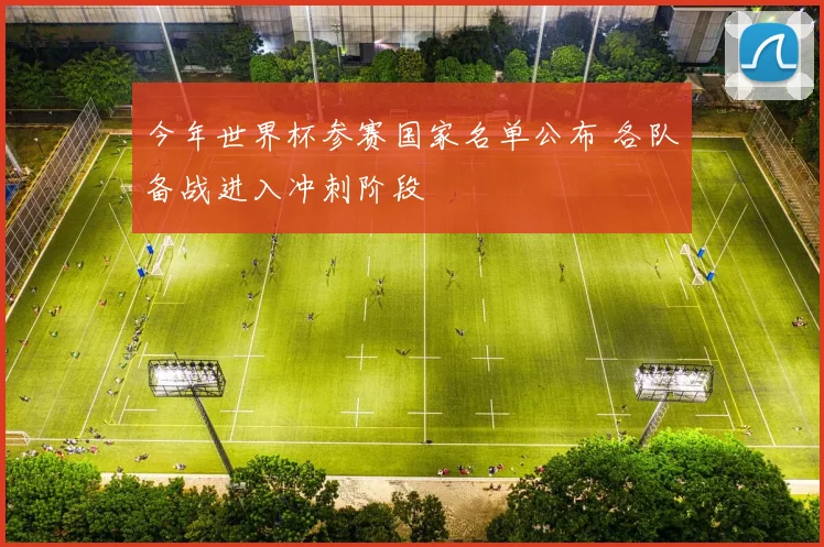 今年世界杯参赛国家名单公布 各队备战进入冲刺阶段
