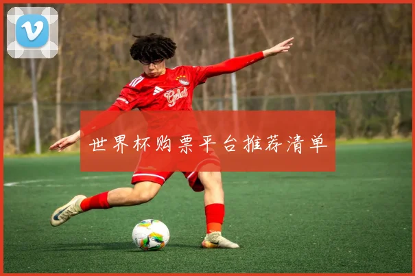 世界杯购票平台推荐清单