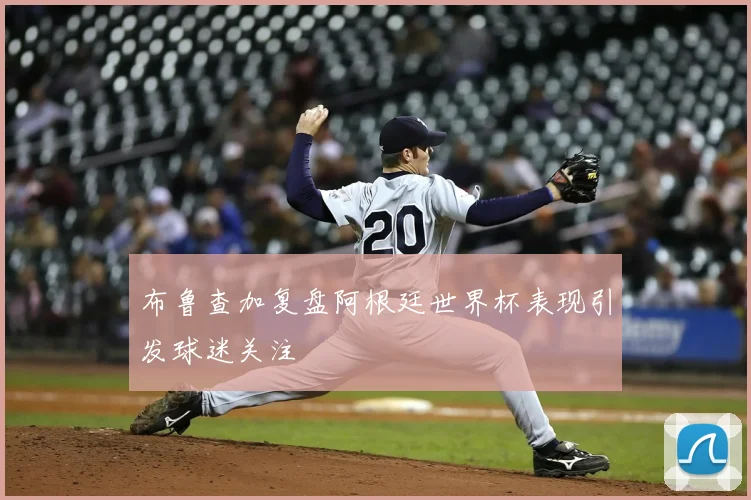 布鲁查加复盘阿根廷世界杯表现引发球迷关注