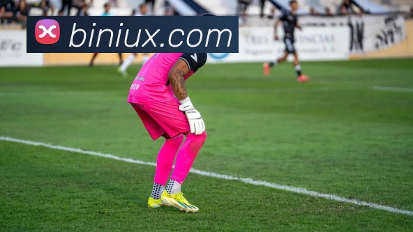 银河国际APP 封面图